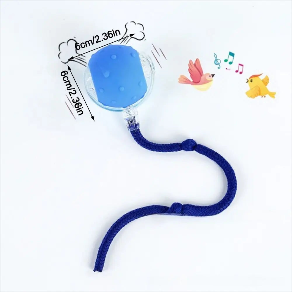 Chase & Play Pet Ball™