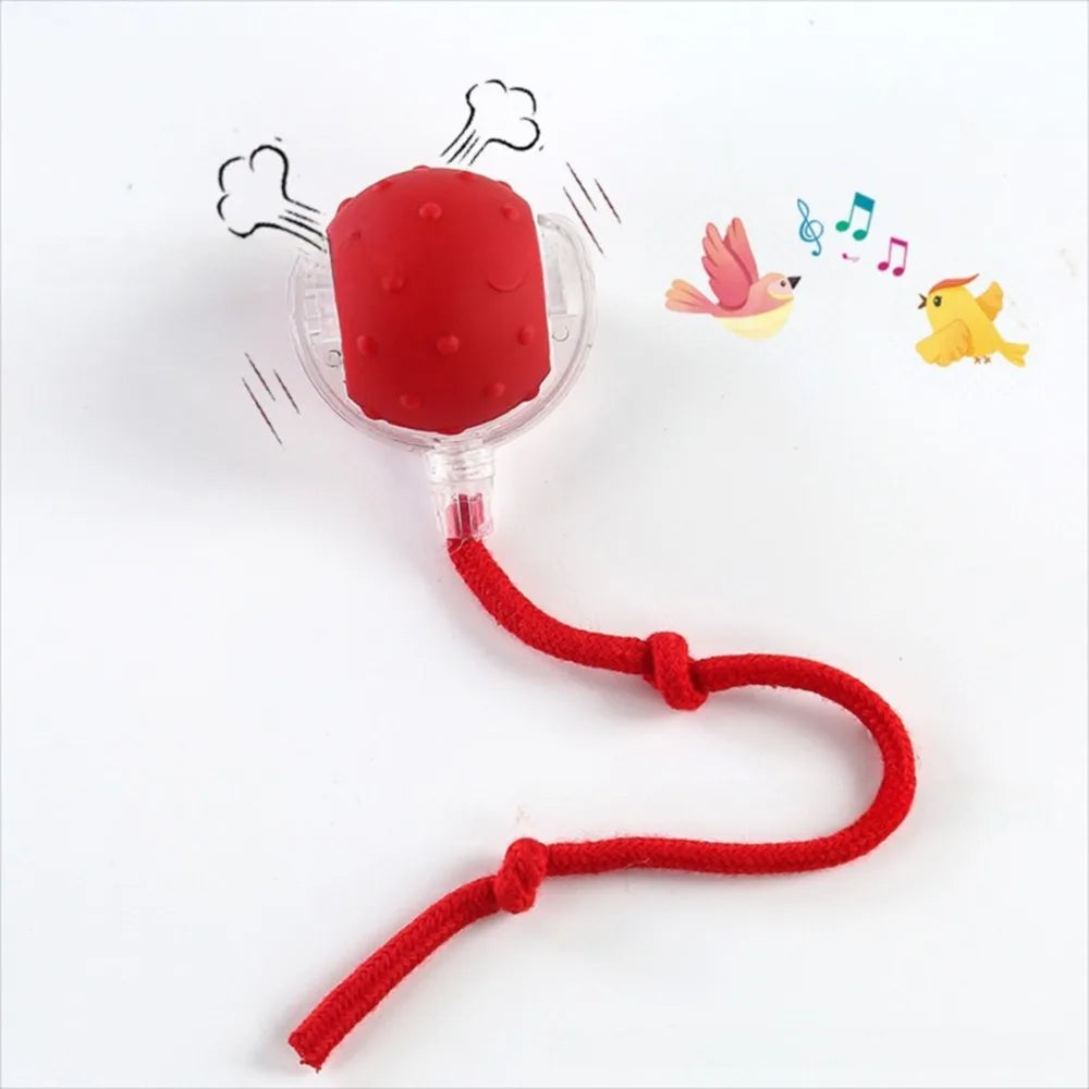 Chase & Play Pet Ball™