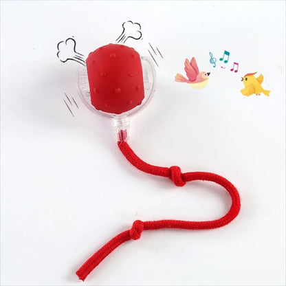Chase & Play Pet Ball™