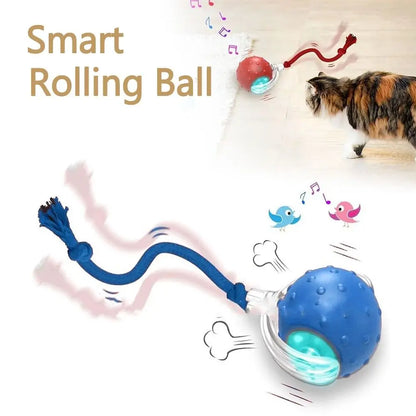 Chase & Play Pet Ball™