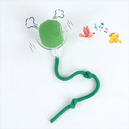 Chase & Play Pet Ball™