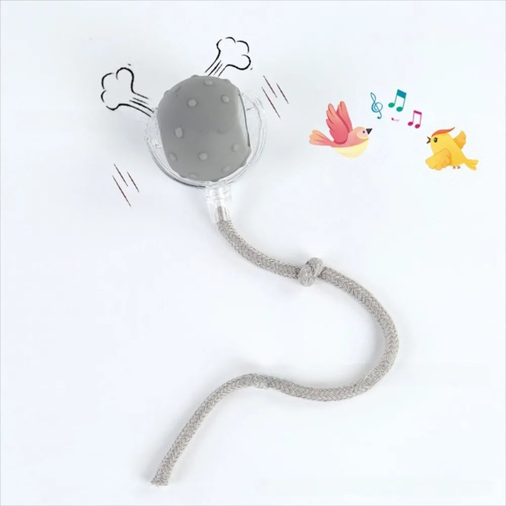 Chase & Play Pet Ball™