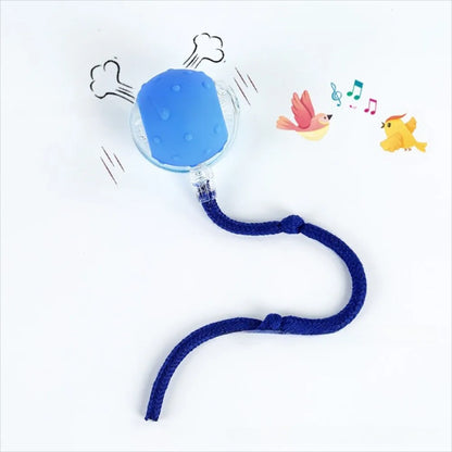 Chase & Play Pet Ball™