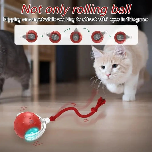 Chase & Play Pet Ball™