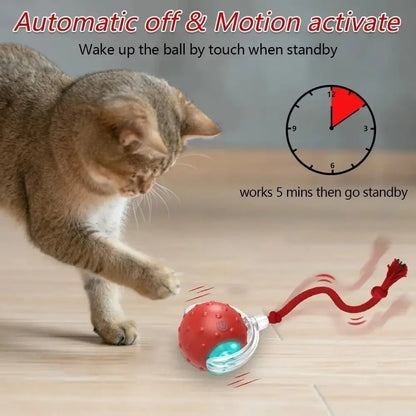 Chase & Play Pet Ball™