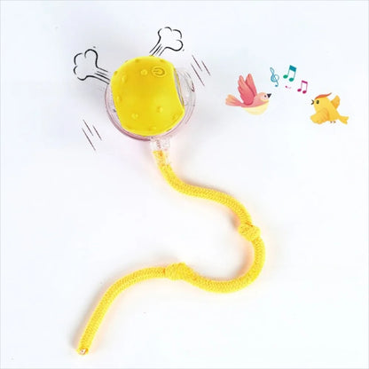 Chase & Play Pet Ball™