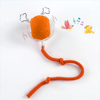 Chase & Play Pet Ball™
